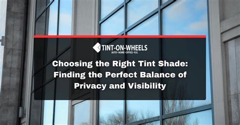 Choosing the Right Tint Shade