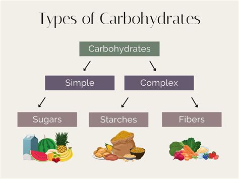Choosing the Right Types of Carbohydrates