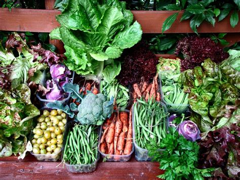 Choosing the Right Vegetables