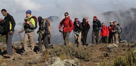 Choosing tour operators