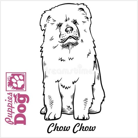 CHOW CHOW fine art dog print by Mike Sibley