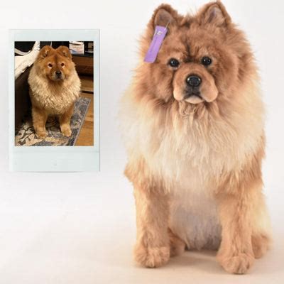 Find Your Furry Friend: The Ultimate Chow Chow Stuffed Animal for Every Dog Lover
