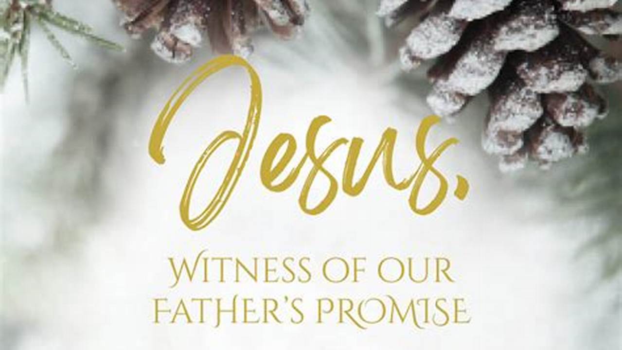 Christmas 2024 Reflection And