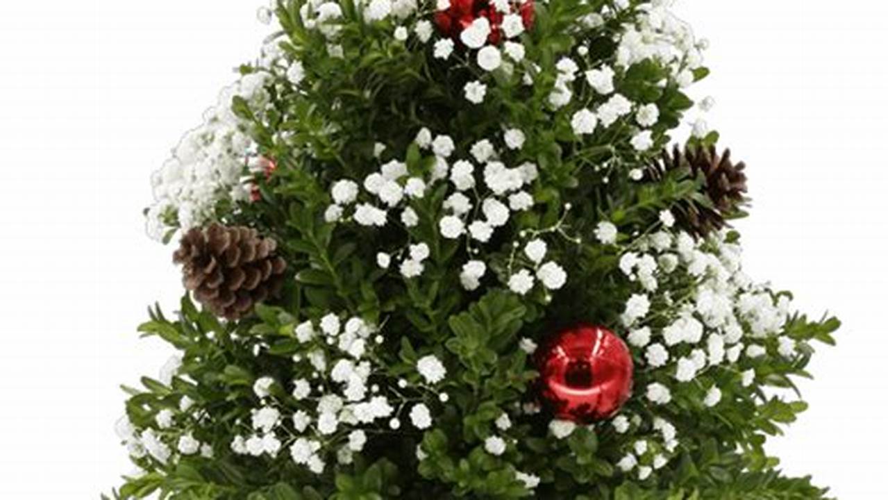 Christmas Boxwoods Workshop Cape Cod 2024