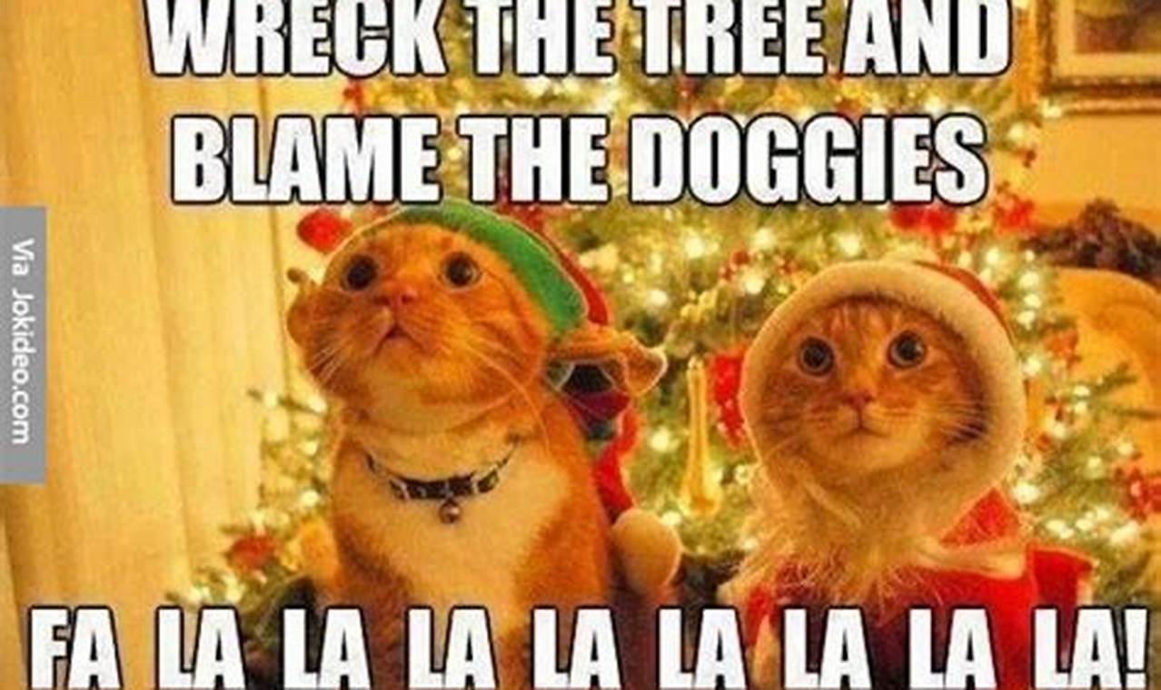 Christmas Cat Memes 2024
