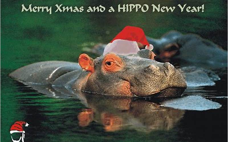Christmas Hippopotamus