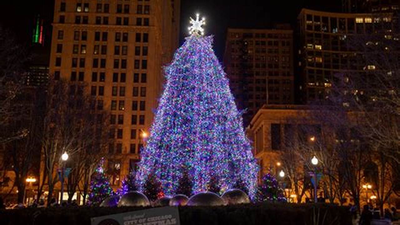 Christmas Tree Chicago 2024