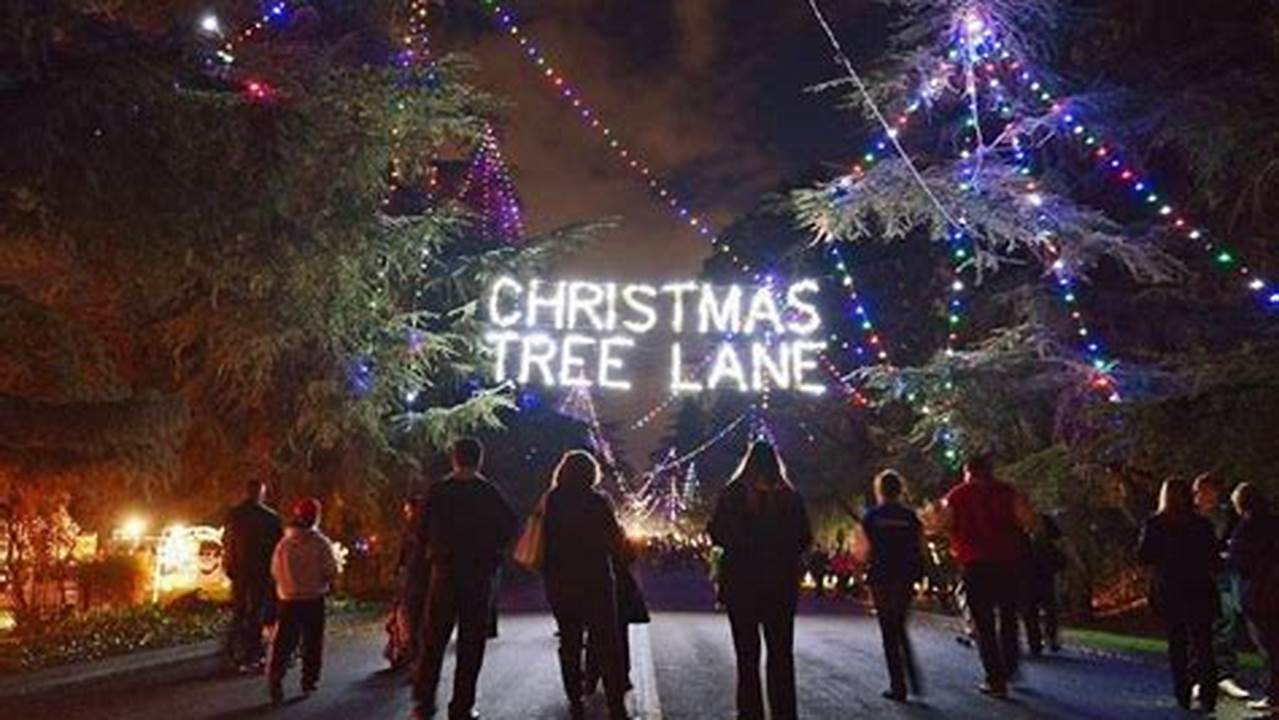 Christmas Tree Lane Fresno Ca 2024