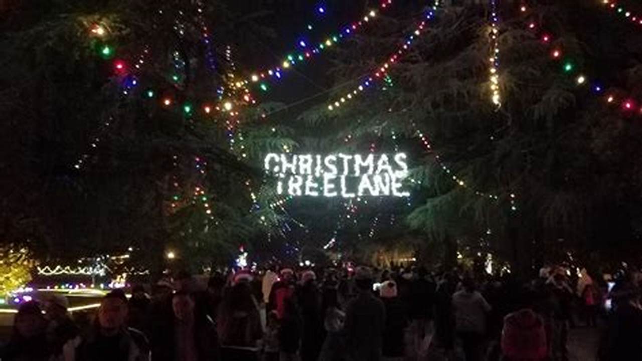 Christmas Tree Lane Walk Night 2024