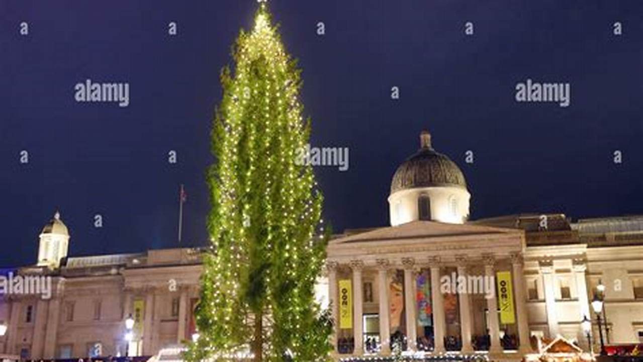 Christmas Tree London 2025