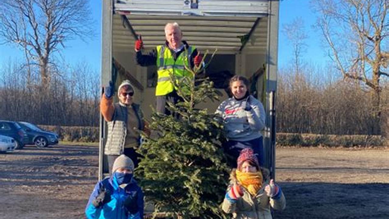 Christmas Tree Recycling Galway 2024