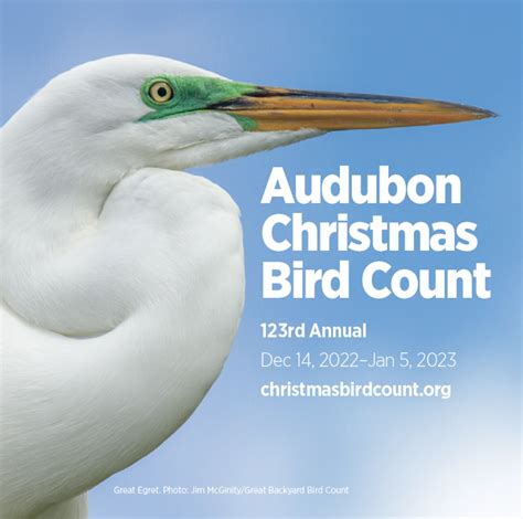 Christmas Bird Count Audobon Society 2023-19