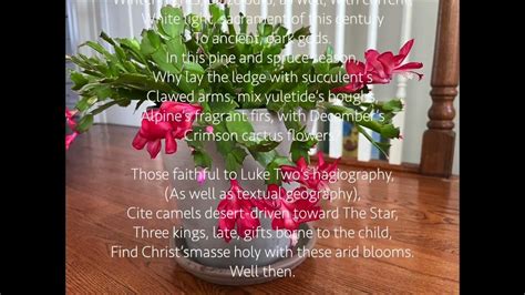 Christmas Cactus Poem