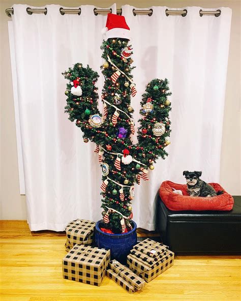 Christmas Cactus Tree