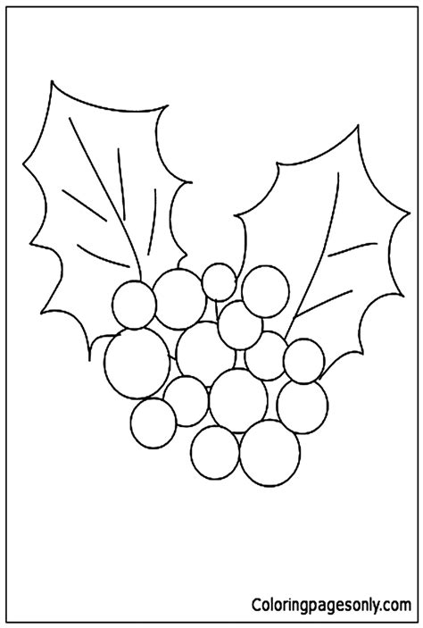 Christmas Holly Coloring Page