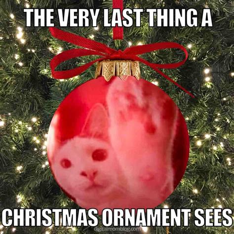 Christmas Kitten Meme