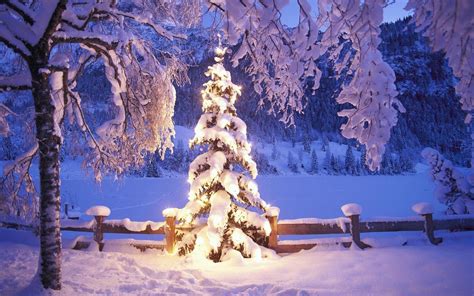 Christmas Landscape Snow