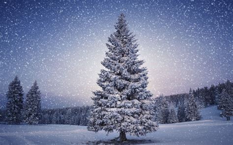 Christmas Landscapes Wallpapers