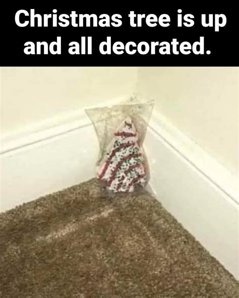 Christmas Meme Nature