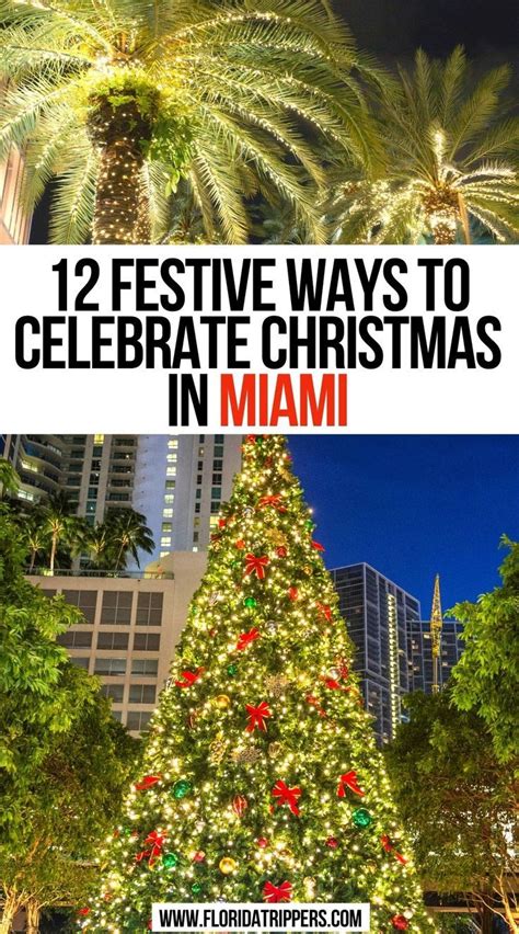 Christmas Photos Miami Tips