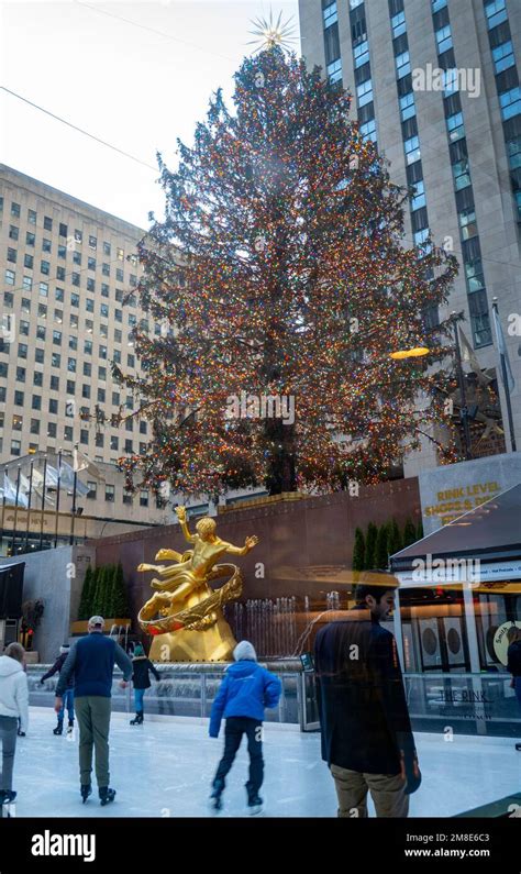 Christmas Tree 2023 Nyc