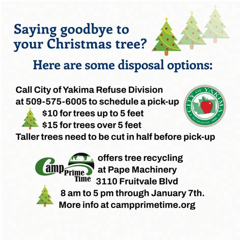 Christmas Tree Disposal Nyc 2024