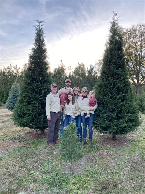 Christmas Tree Farm Blue Ridge Ga