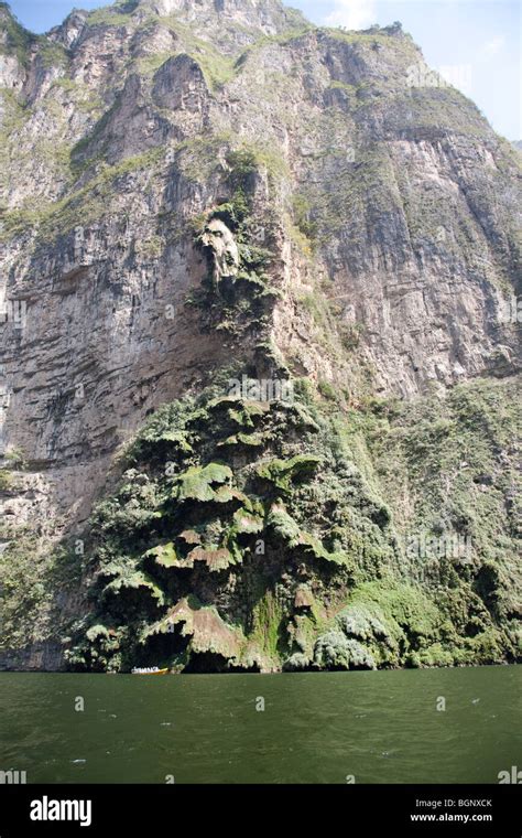 Christmas Tree Formation Sumidero Canyon