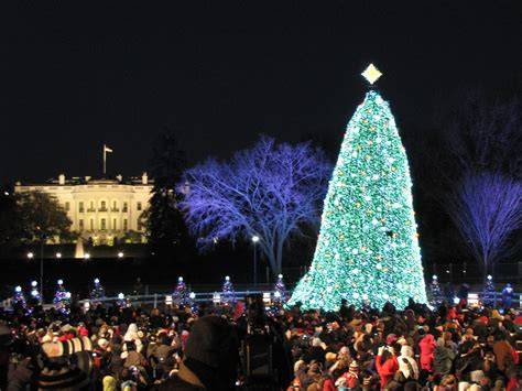 Christmas Tree Lighting Ceremonies