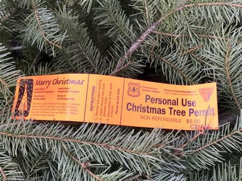 Christmas Tree Permits 2023 Nevada