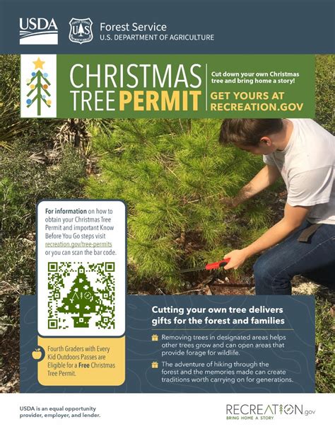 Christmas Tree Permits 2023 Nevada