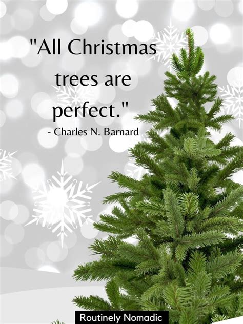 61 Top Christmas Tree Quotes with Images 2020 Merry Christmas Quotes