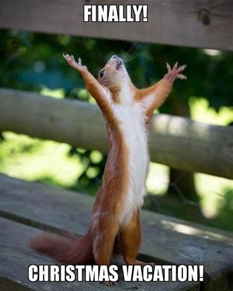 Christmas Vacay Meme