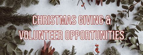 Christmas Volunteer Orange County