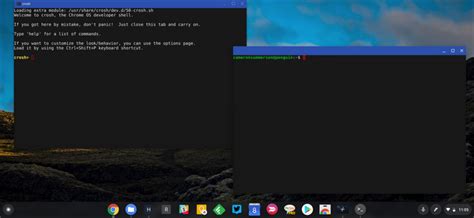 Chrome Terminal (Crosh) vs. Linux Terminal on Chromebook