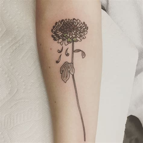 Chrysanthemum Tattoo Simple