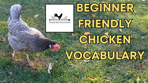 Chuck Amato: A Beginner-Friendly Walkthrough