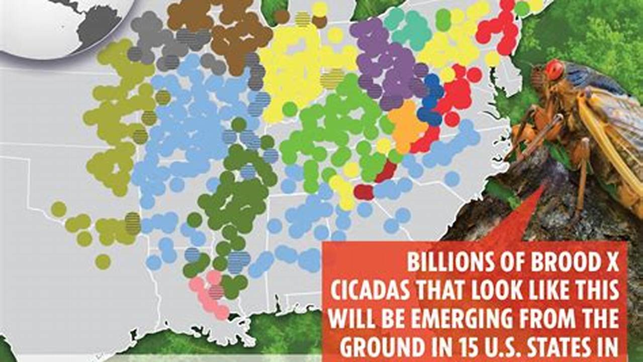 Cicada Emergence 2024 Map Pdf