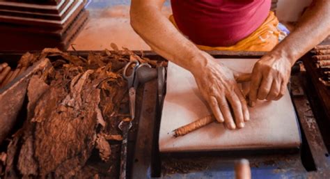 Cigar Rolling Process
