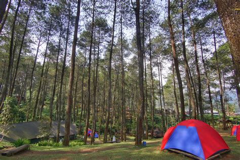Cikole Lembang Camping in Indonesia