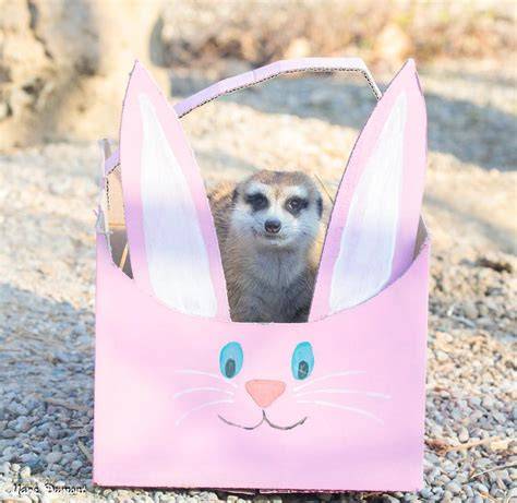 Cincinnati Zoo Easter