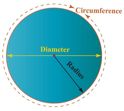 Circle with Circumference Labeled