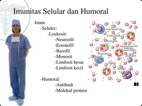 Ciri Imunitas Humoral: Mengenal Lebih Dekat Sistem Kekebalan Tubuh