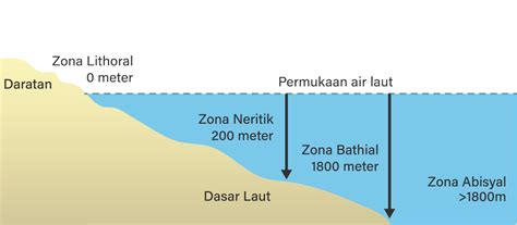 Ciri-ciri Zona Neritik: Batas Terdekat Antara Darat dan Laut