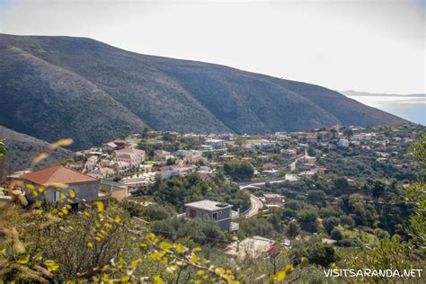 Citrus Groves Albania