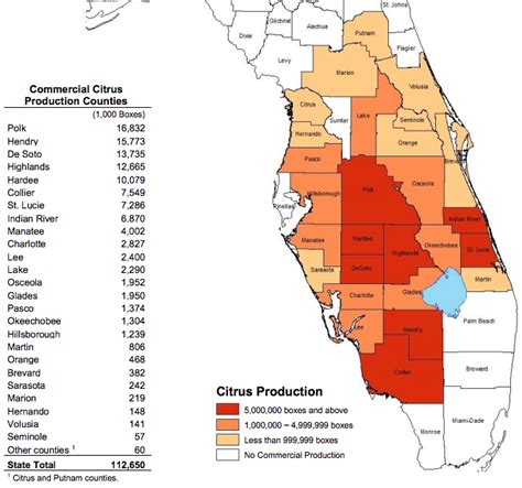 Florida Citrus Growers & Shippers of oranges, grapefruit, & lemons