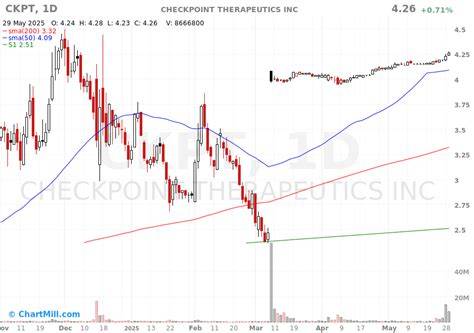 Ckpt Stock Forecast