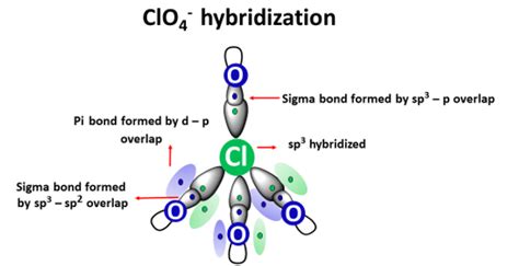 ClO4 Hybridization