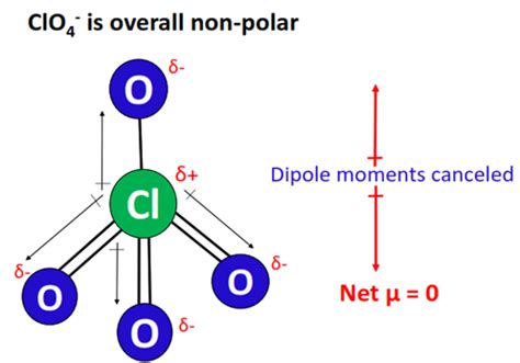 ClO4 Polarity