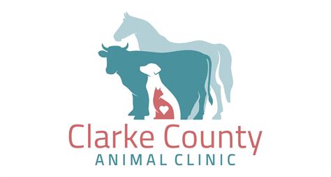 Unbeatable Care for Your Furry Friends: Clarke County Animal Clinic
